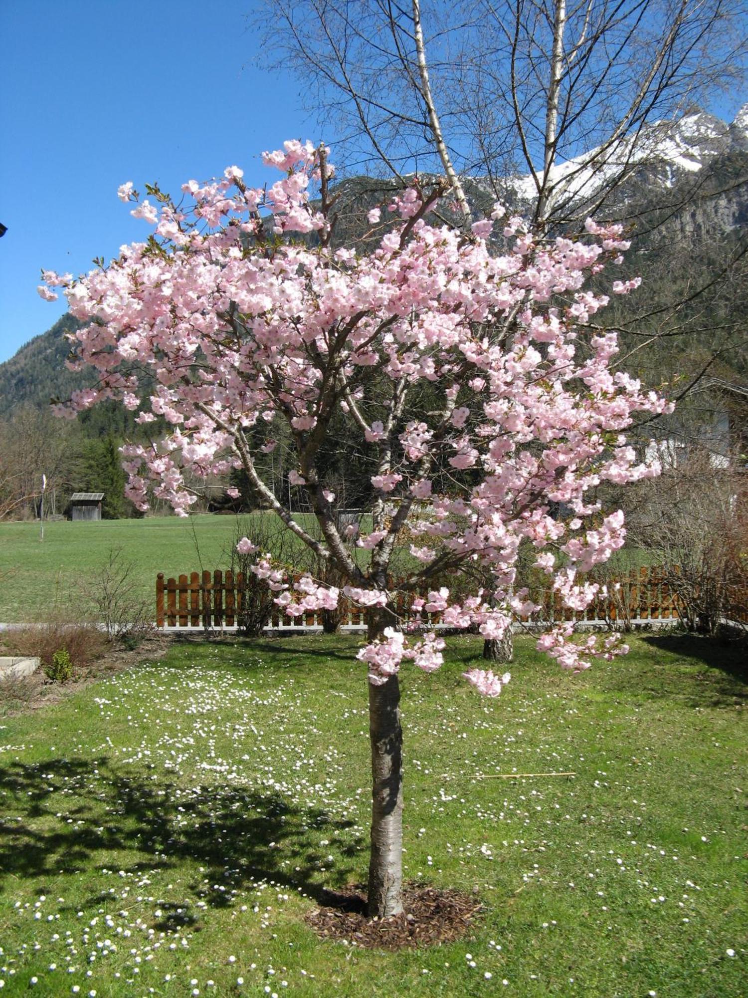Ferienwohnungen Schlichtherle Bach  Buitenkant foto